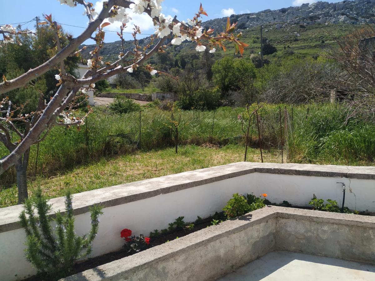 Xenios Z Rustic Rural Cottage Karidi Exterior photo